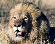 Africa 2007